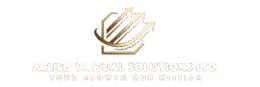 Allied Virtual Solutions